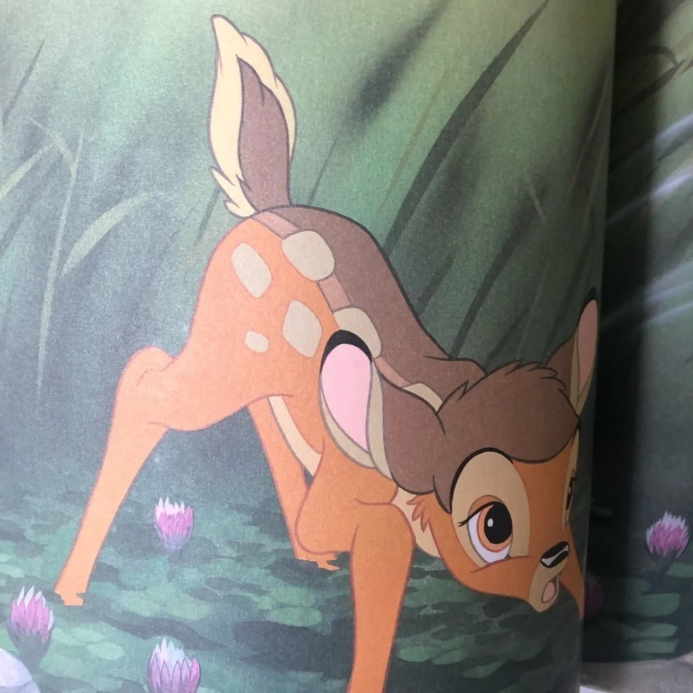 Disney enterprises works my